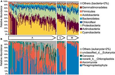 Balanced biogeographic and local environmental effects determine the patterns of microbial diversity in biocrusts at multi-scales